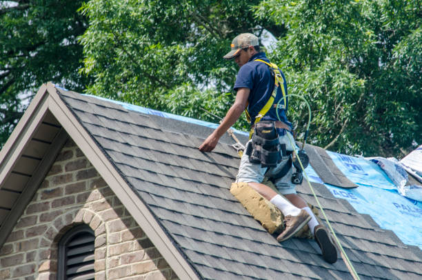 Best Roof Gutter Cleaning  in Redland, TX